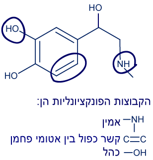 קבוצות-פונקציונליות-אפניפרין