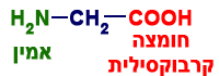 קבוצות-פונקציונאליות-תמיסה-A